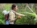 Harvesting 1000kg Giant Tomato - Selling at the Market with My Daughter, Catch and Cook Giant Fish