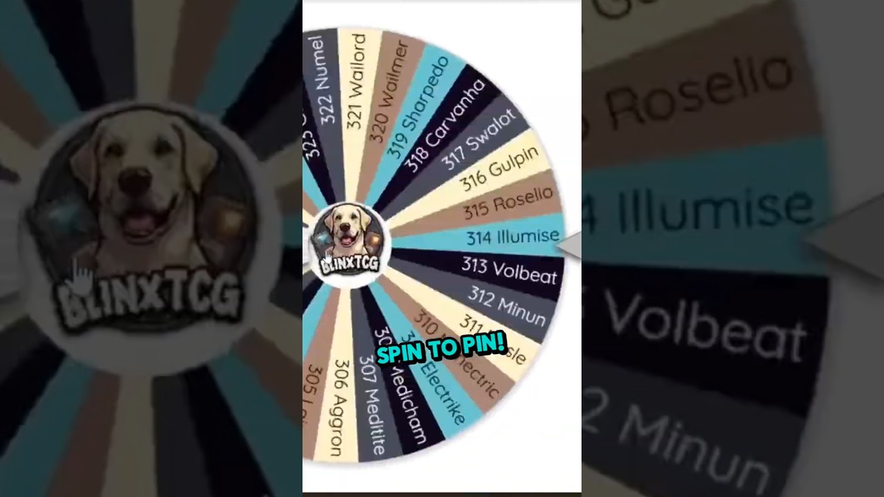 Spin it and Pin it (Ep 1) 