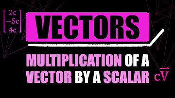 Multiplication of a Vector by a Scalar