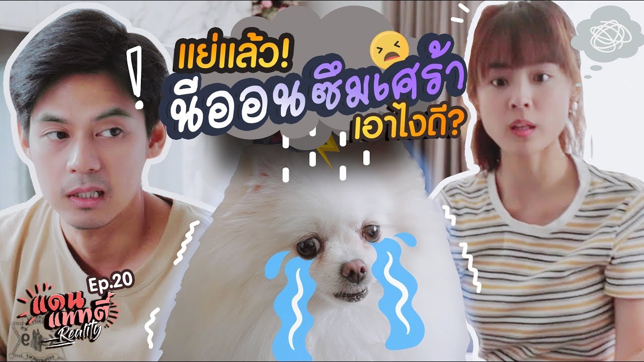 นีออนสุนัขของแพทตี้ซึมเศร้า ทำยังไงดีเนี่ย!! [cc] แดนแพทตี้ Reality | EP.20 |
