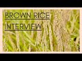 無農薬玄米を作る、なるほど舎代表：須田さんインタビュー