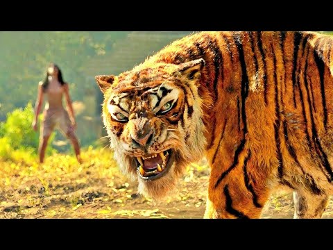 Nikita porno jinsiy aloqa