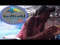 NEW SHOW - Orca Encounter A Killer Whale Experience | SeaWorld Orlando 4K