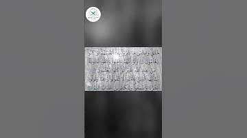 سورة البقرة  الشيخ محمد الفقيه  #دويتو #forupage #اكسبلور #quran #لايك #تيك_توك #duet