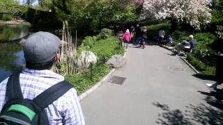Google Glass: Central Park Google Glass: Central Park