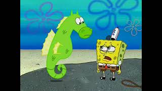 My Pretty Seahorse-Clip6