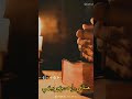 وقت الصلاة افرد جناحك للسماء 