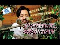 ★【ウロコインコ】誰でもインコとなかよくなれる方法　★誰でも仲良くなれる『魔法の棒』もご紹介　インコを知って信頼関係を築こう！@ZOOTIMEch
