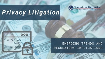 Privacy Litigation: Emerging Trends & Regulatory Implications