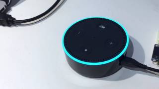 OpenText Content Server, Amazon Alexa, IoT integration showcase   illustration