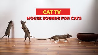 Mouse Sounds Compilation for Cats🐀 CAT TV 🐈 Mouse Sounds to Attract Cats (3 Hours)