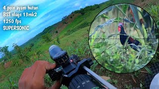 Berburu Ayam Hutan Mungkin Ini Moment Sekali Seumur Hidup Bst 13Mk2 Supersonic