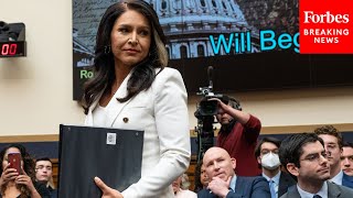 Tulsi Gabbard Makes Case For How Govt Agencies 'Are Being Weaponized Against Us' | Full Statement