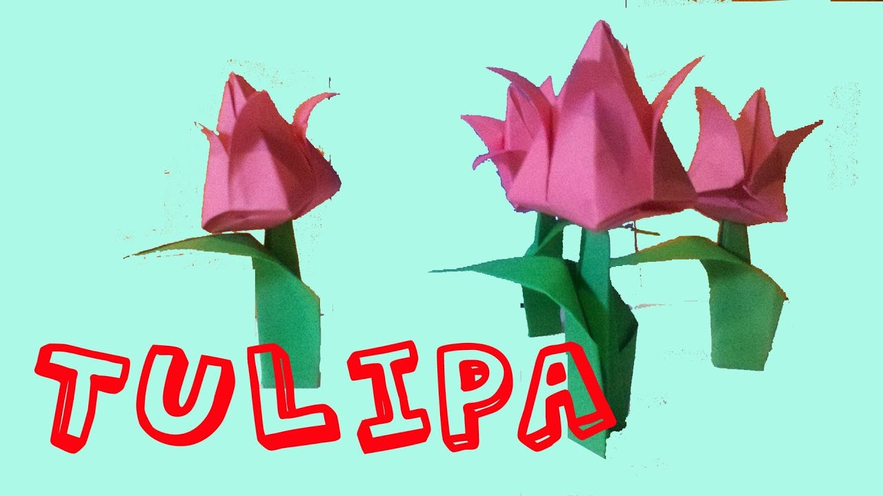 flower origami tulip make uma (how tulip Tulipa a make de Flor to um fazer Origami flower