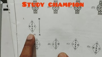 Class 4 IMO chapter 7 part 2