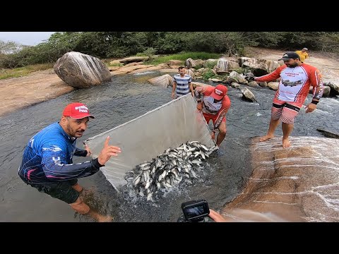 PRECISAMOS DA SUA AJUDA PARA SALVAR ESSES PEIXE!