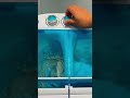 If you’re even considering a mini washer for your camper/RV, stop thinking and just get it!