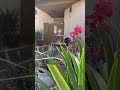 #waterfountain Sounds for #relaxation & #sleep. Thanks for Watching🌺Like & Subscribe.