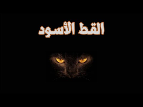 قناة القصة الاخيرة القط الاسود