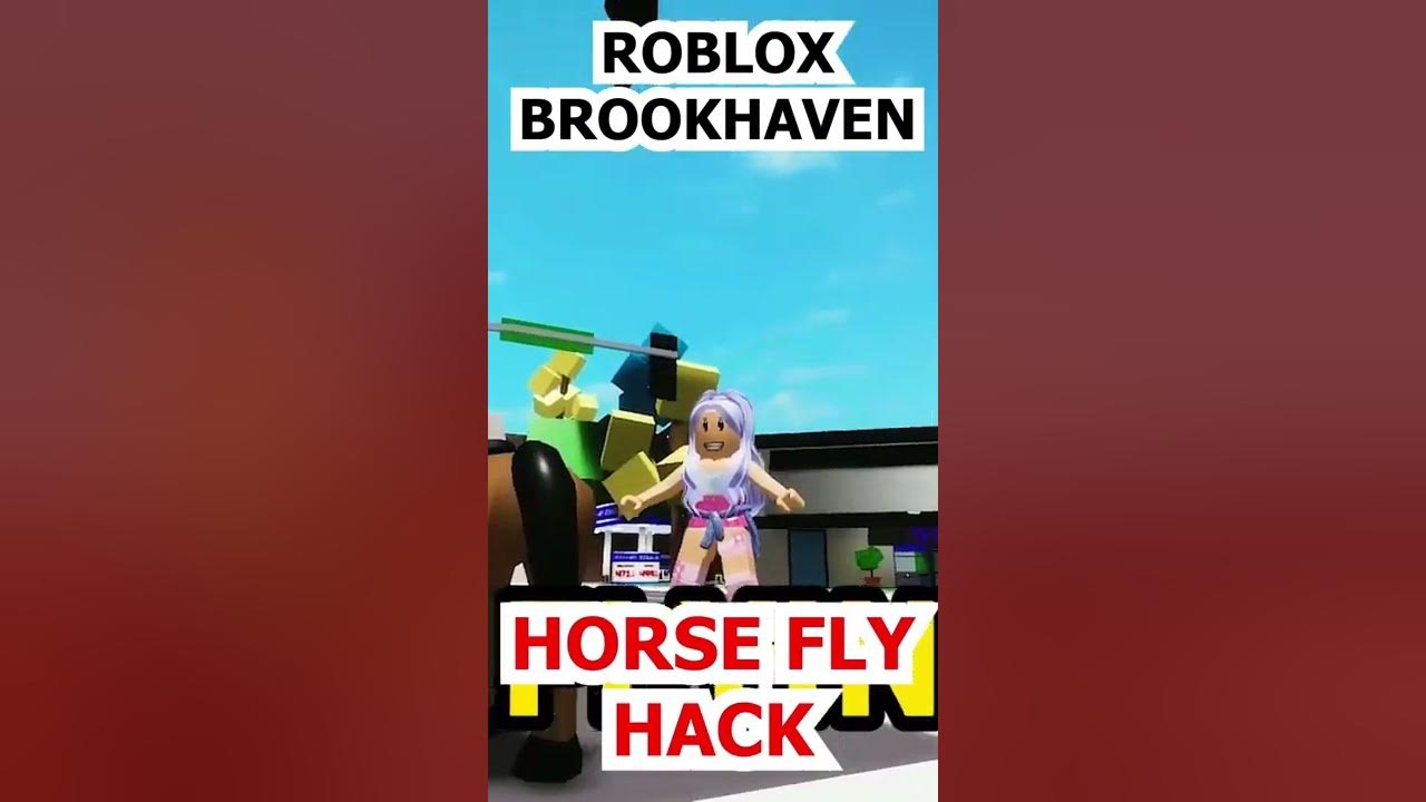 I Tried The NEW FLYING HACK In Brookhaven With SANNA! (Roblox) 