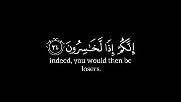 -وقال-الملأ-من-قومه-الذين-كفروا-الآية-٣٣-إلى-٤٠-سورة-المؤمنون