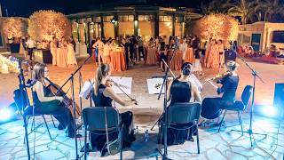 7 Years of Portonovi Celebration, August 2026