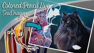 Drawing a Sea Dragon in Colored Pencil & art chat  - Lachri Live