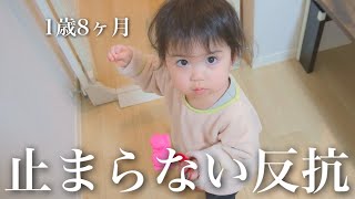 【1歳8ヶ月】ママの本音。毎日毎回、反抗するのやめてくれませんか…【ナイトルーティン】