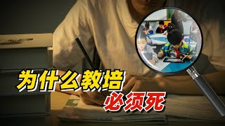 【九边】为什么教培必须死？