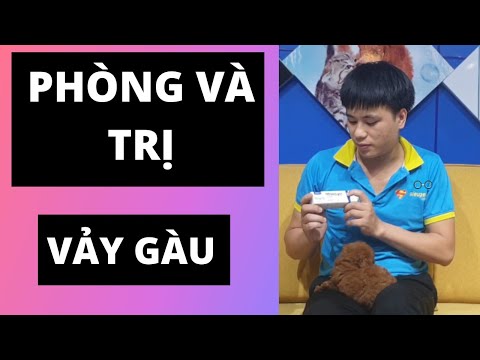 Video: Da Có Vảy ở Chó