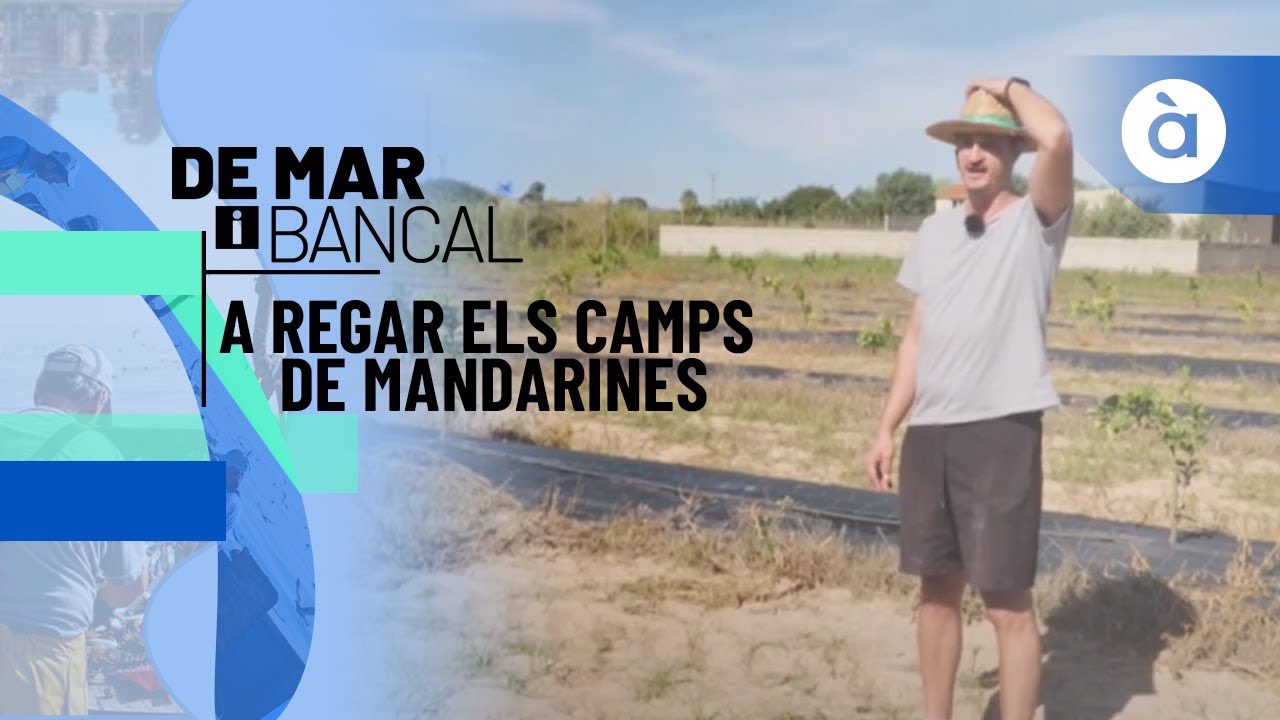 A regar els camps de mandarines d'Albalat de la Ribera amb Nando - De mar i bancal