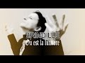 Brindille  o est la lumire   ralisateur thierry brillard