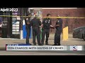 Teen charged with dozens of crimes