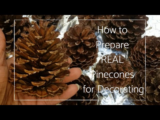 How to Prepare REAL Pinecones for Decorating 