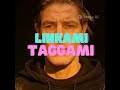 Linkami-Taggami