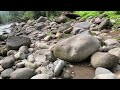 4k-Condition of the river after heavy rain, my village|indonesia country