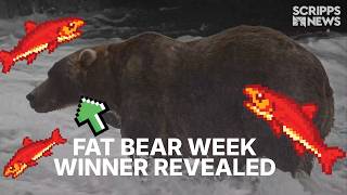 Meet 'Backpack,' the new Fat Bear Week champion of Alaska
