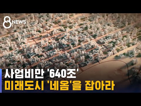 사업비만 &#39;640조&#39;…사우디의 미래 도시 &#39;네옴&#39;을 잡아라 / SBS 8뉴스