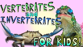 Learning About Vertebrates and Invertebrates