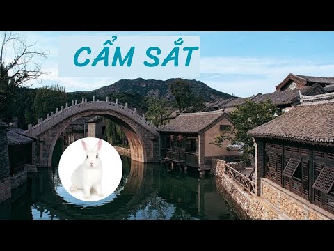 🍃(C76-80_END) AUDIO ĐAM MỸ CẨM SẮT - youtube