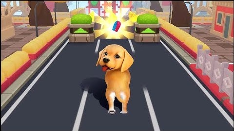 My talking pet runner is started, Come and play dog run game!🐕| Dog Run Game 2023