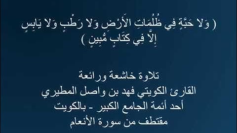 تلاوة رائعة من سورة الأنعام - القارئ فهد المطيري