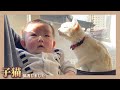 【感動】猫が0歳の赤ちゃんに大事なことを教えてくれるようです