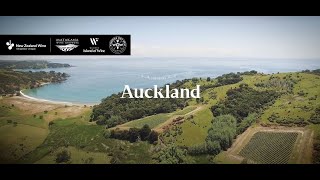 Auckland Wine Region