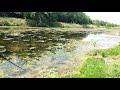 Pesca de Tararira en Gualeguay, a pez visto.