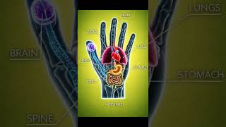 Press These 10 Hand Points to Fix Everything #reflexology #health