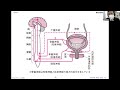 小児科学①video1997724242