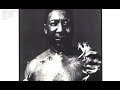 Muddy Waters Honey Bee mp3
