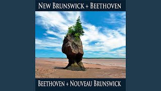 String Quartet in F Major, Hess 34 (Arr. of Piano Sonata No. 9 in E Major, Op. 14 No. 1) : I....
