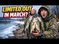 Think the bite is dead in March? Think again! Here is the secret to a full stringer that ninety per